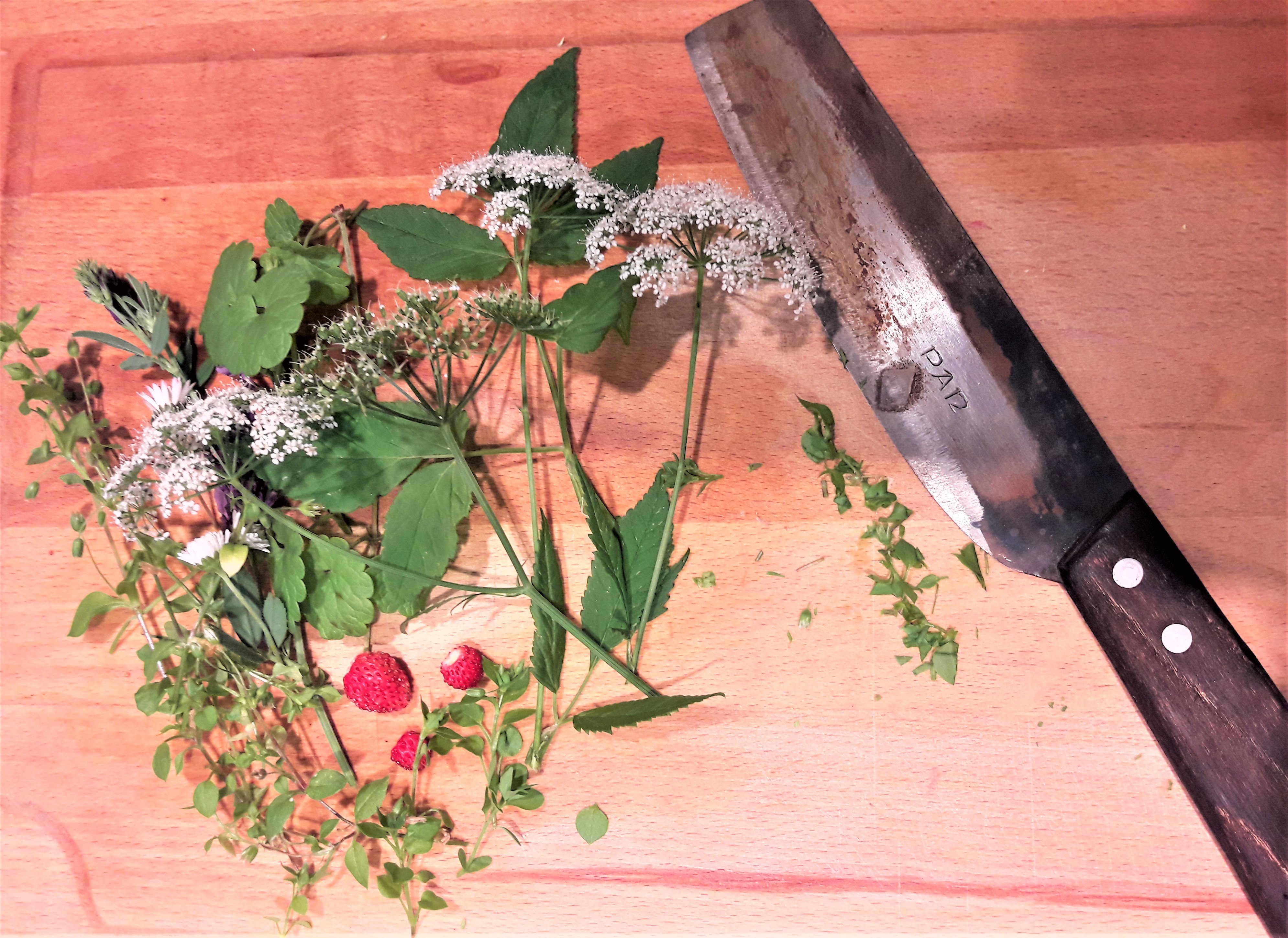 Verschiedene Kräuter und Blumen in der Küche